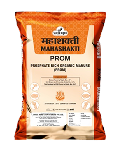 MAHASHAKTI PROM